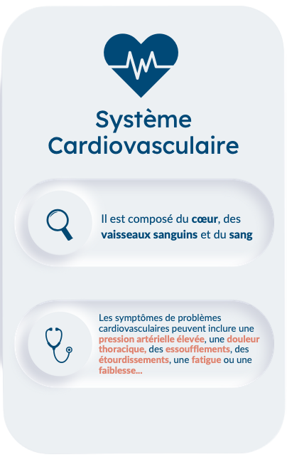 Système cardiovasculaire : cœur, vaisseaux sanguins et sang, avec symptômes de problèmes.