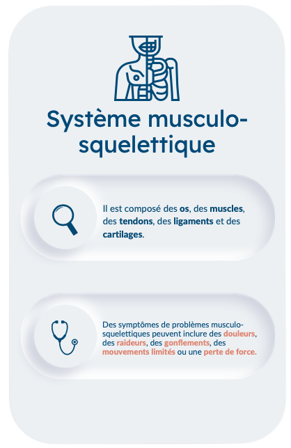 Diagramme du système musculo-squelettique avec des descriptions et des icônes médicales.