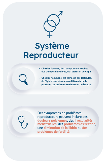 Système reproducteur avec des descriptions de symptômes et conseils.