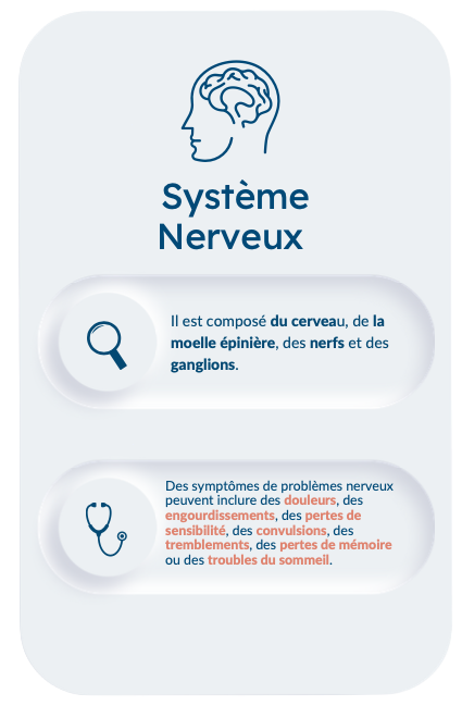 Système nerveux avec des explications sur les neurones et les symptômes associés.