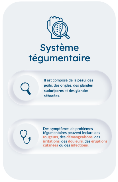Système tegumentaire avec symptômes de problèmes régulatoires et leurs descriptions.