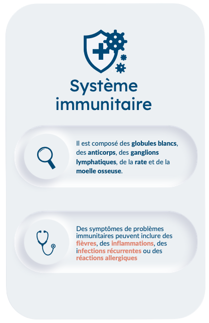 Système immunitaire avec icônes de symptômes et d'anticorps sur fond clair.