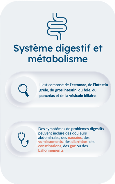 Système digestif et métabolisme, avec description des symptômes et éléments clés.